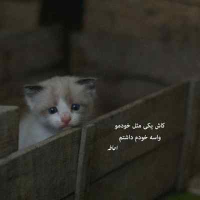 دانلود آهنگ حالا که دوس داری بری هرجا هستی خوب باشی بیبی
