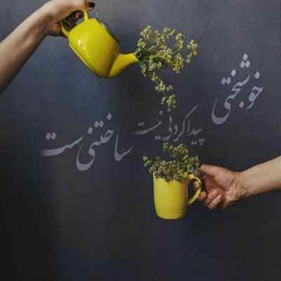 دانلود آهنگ حالا که رفتی و بی وفا شدی ایرج مهدیان