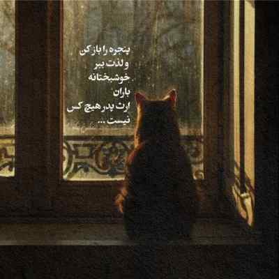 دانلود آهنگ خیلی وقته که یه پیغومی ندادی واسه من
