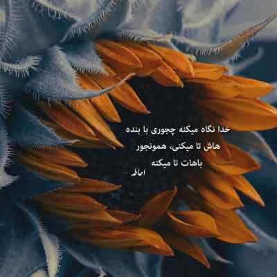 دانلود آهنگ ما که دیگه دادیم رفت تورو