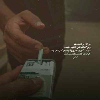 دانلود آهنگ ما رو از زخم جنازه هامون تشخیص بدید فردا از سورنا