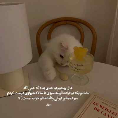 دانلود آهنگ ملودی آرش