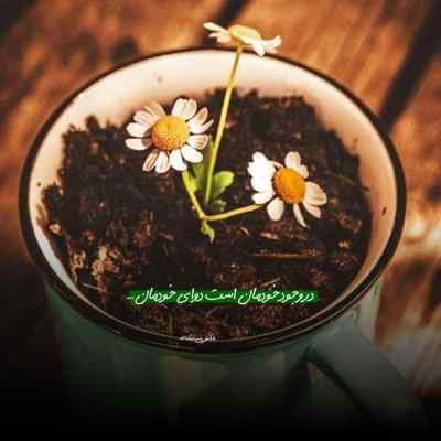دانلود آهنگ اورد برام خبر یه قاصدک هیدن