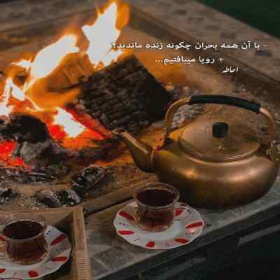 دانلود آهنگ روزا هلاک نون شب نون زدن تو خون