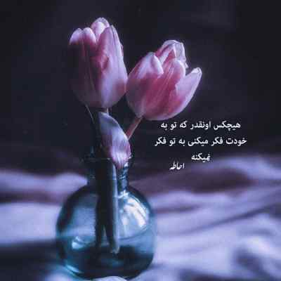 دانلود آهنگ تو به میخونه نرو عزیز من با صدای زن