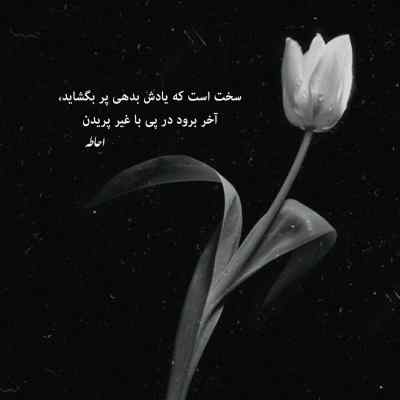دانلود آهنگ یه دختر دارم شاه نداره صدای زن