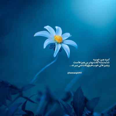 دانلود آهنگ عجب قد و قواره ای دارای خرج و مخارجی از تاک داون