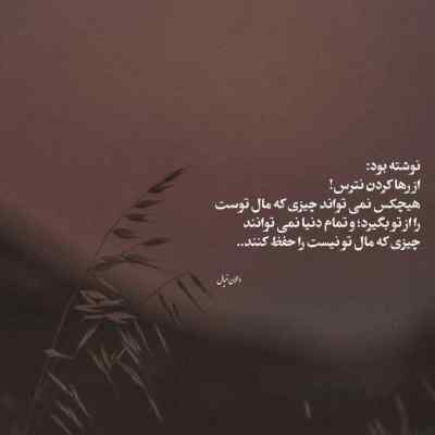 دانلود آهنگ هی داری راه میری رو این مخ ردی از آرمین سبزواری
