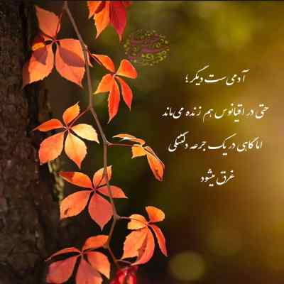 دانلود آهنگ آی بالام گول بالام با صدای زن و مرد