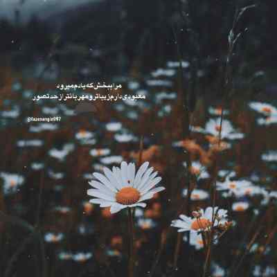 دانلود آهنگ آی دلبرم آی دلبر ای از همه عزیزتر ابی اینستا