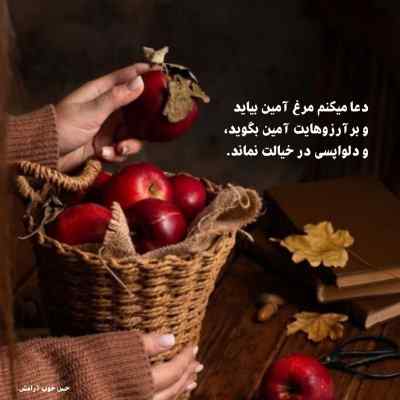 دانلود آهنگ بار کردم من گناوه بی صلوات در اوم