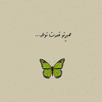 دانلود آهنگ برای روز میلاد تن من نمیخوام پیرهن شادی بپوشی از معین
