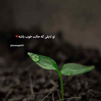 دانلود ریمیکس بی وفایی کرد و رفت نموند بیس دار اینستا