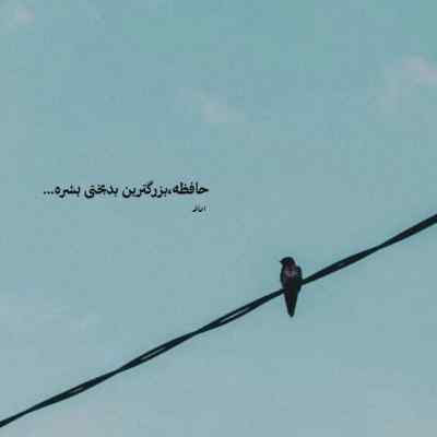 دانلود آهنگ دلم تنگه و لعنت به عشق و این حرفها از کامران تفتی
