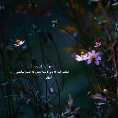 دانلود آهنگ دیدی از هر چه ترسیدم همان شد از ایهام