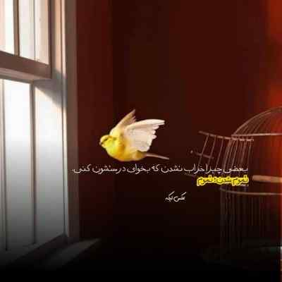 دانلود آهنگ دوست دارم اونقدر که لنگم باشم واسه تو پول هست