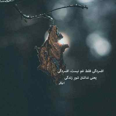 دانلود آهنگ دافه میگه تخسی چقدر از ایسین