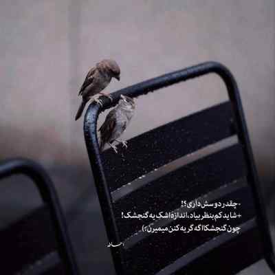 دانلود آهنگ قسم به این تلخی قسم به غلط دل بستم از امیر لیام