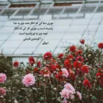 دانلود آهنگ پشت این سکوت سنگین از قاسم فاضلی دانلود آهنگ پشت این سکوت سنگین از قاسم فاضلی