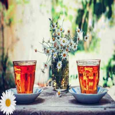 دانلود آهنگ تو جات اینجا سیفه ﻧﻪ ﻧﻪ ﺑﻴﺒﻪ احسان دریادل
