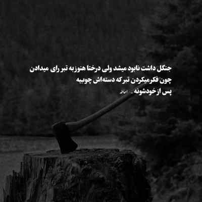 دانلود آهنگ کسی نیست مثل تو منو باشه بلد از مسعود صادقلو