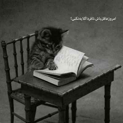دانلود آهنگ لیلا لیلا اهای فرشته مغرور