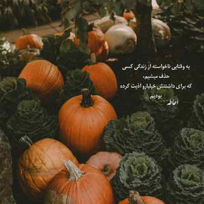 دانلود آهنگ مادر من تو عشقی نور چشمی کعبهی من از رضا بهرام