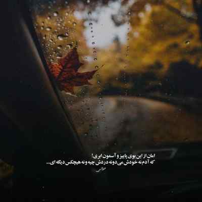 دانلود آهنگ رز مرده از مهیار Dead Rose