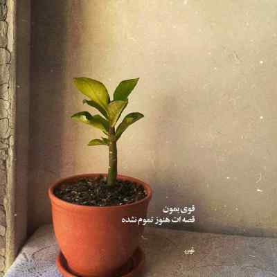 دانلود آهنگ آخ از شه محل تا تی خنه حال مست بمومه از مجید احمدی