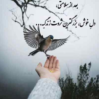 دانلود آهنگ من از اون همه عشق کور نشدمو از دورچی