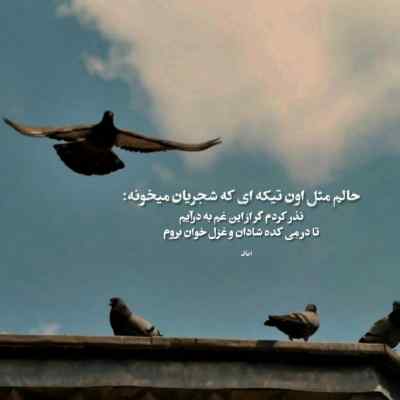 دانلود آهنگ دلت یاس پر احساس آی مریم نازم از مرتضی پاشایی