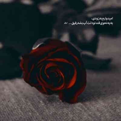 دانلود آهنگ پس میگیرم دلی که داده بودم بهت از مرتضی وکیلی