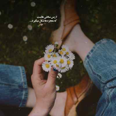 دانلود آهنگ شاخه شکستس دلم بی نصیبو خستس دلم از مرتضی