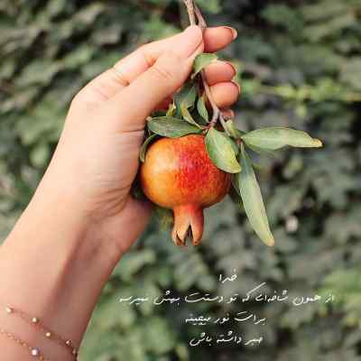 دانلود آهنگ تالار کدوم وریه دوست پسر نی همسریه از تاک داون
