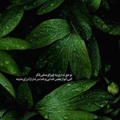 دانلود آهنگ تازه داشت قشنگ میشد بازیمو بلد میشد از د دان