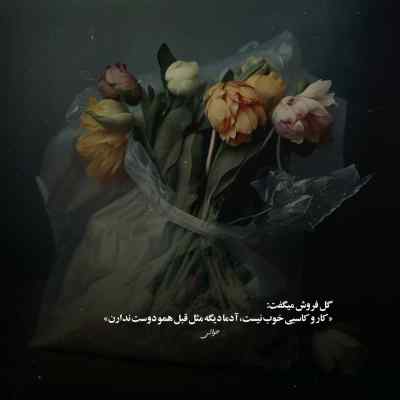 دانلود ریمیکس تو خوشگلی خوبی قد بلندی اینستا