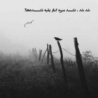 دانلود آهنگ تو سر جنگی محاله دلت آرامش بخواد از محسن یگانه
