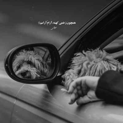 دانلود آهنگ کلافه از ویناک و رامین تجنگی