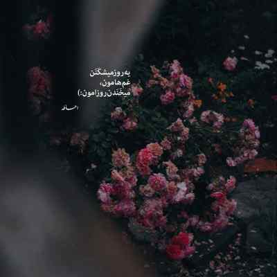 دانلود آهنگ یه تار موتو به دنیا نمیدم شاهین میری