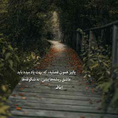 دانلود آهنگ باز دارم عاشق میشم انگار چشات برق داره از راشید