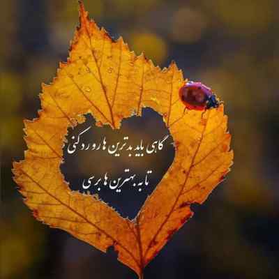دانلود آهنگ اویزه گوشت کن
