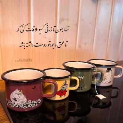 دانلود آهنگ بلد بودمت و تو بلدم بودی از حامیم