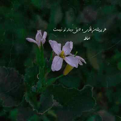دانلود آهنگ خیلی غریبی واسه من ابی لیتلز خواننده اصلی