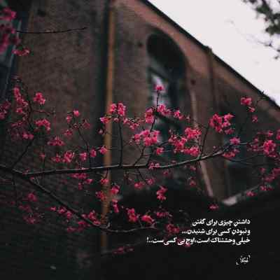 دانلود آهنگ عشقم بارونم دوست داره ناصر زینعلی