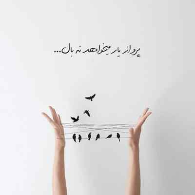 دانلود آهنگ حالا بگو کی دیگه اخماتو میبینه