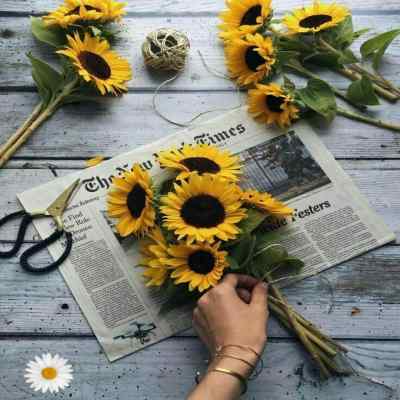 دانلود آهنگ مادر پرستار دلم ای روشنی رضا نیک فرجام