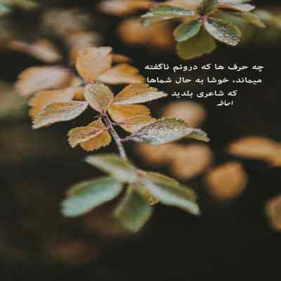 دانلود آهنگ منم اون یار شیرین لیلا