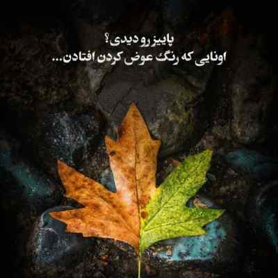 دانلود آهنگ میخوامت اما روم نمیشه