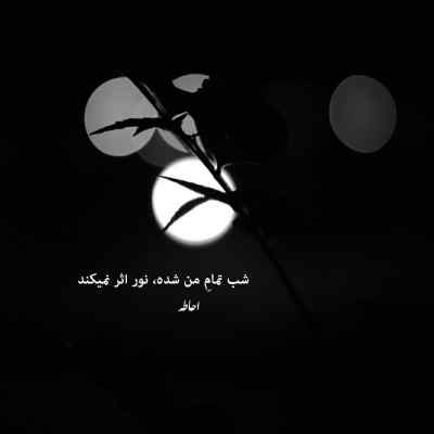 دانلود آهنگ نبودی در فراق شانه هایت به هر سنگی رسیدم تکیه کردم