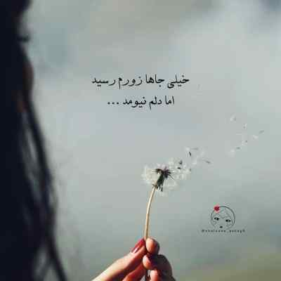 دانلود آهنگ شب به گلستان تنها منتظرت بودم با صدای زن